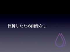 挫折したため画像なし 