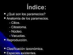 Índice:Índice: ¿Qué son los paramecios?¿Qué son los paramecios? Anatomía de los paramecios.Anatomía de los paramecios.- Cilios.- Cilios.- Citostoma.- Citostoma.- Núcleo.- Núcleo.- Vacuolas.- Vacuolas. Reproducción.Reproducción. Clasificación taxonómica.Clasificación taxonómica. Especies existentes.Especies existentes. 