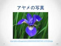 アヤメの写真 67 http://pds.exblog.jp/pds/1/200609/01/07/b0077607_17371584.jpg  