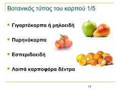 11Βοτανικός τύπος του καρπού 1/5 Γιγαρτόκαρπα ή μηλοειδή Πυρηνόκαρπα Εσπεριδοειδή Λοιπά καρποφόρα δέντρα 