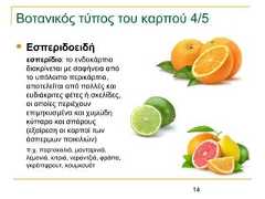 14Βοτανικός τύπος του καρπού 4/5 Εσπεριδοειδήεσπερίδιο: το ενδοκάρπιοδιακρίνεται με σαφήνεια απότο υπόλοιπο περικάρπιο,αποτελείται από πολλές καιευδιάκριτες φέτες ή σκελίδες,οι οποίες περιέχουνεπιμηκυσμένα και χυμώδηκύτταρα και σπόρους(εξαίρεση οι καρποί τωνάσπερμων ποικιλιών)π.χ. πορτοκαλιά, μανταρινιά,λεμονιά, κιτριά, νεραντζιά, φράπα,γκρέιπφρουτ, κουμκουάτ 