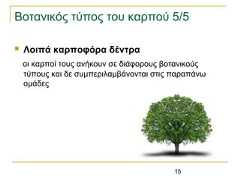 15Βοτανικός τύπος του καρπού 5/5 Λοιπά καρποφόρα δέντραοι καρποί τους ανήκουν σε διάφορους βοτανικούςτύπους και δε συμπεριλαμβάνονται στις παραπάνωομάδες 