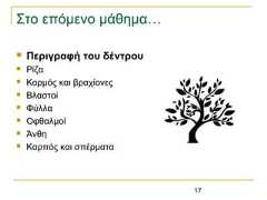 17Στο επόμενο μάθημα… Περιγραφή του δέντρου Ρίζα Κορμός και βραχίονες Βλαστοί Φύλλα Οφθαλμοί Άνθη Καρπός και σπέρματα 