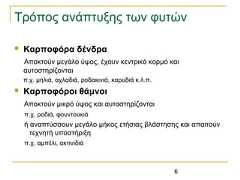 6Τρόπος ανάπτυξης των φυτών Καρποφόρα δένδραΑποκτούν μεγάλο ύψος, έχουν κεντρικό κορμό καιαυτοστηρίζονταιπ.χ. μηλιά, αχλαδιά, ροδακινιά, καρυδιά κ.λ.π. Καρποφόροι θάμνοιΑποκτούν μικρό ύψος και αυτοστηρίζονταιπ.χ. ροδιά, φουντουκιάή αναπτύσσουν μεγάλο μήκος ετήσιας βλάστησης και απαιτούντεχνητή υποστήριξηπ.χ. αμπέλι, ακτινιδιά 