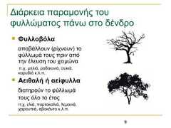 9Διάρκεια παραμονής τουφυλλώματος πάνω στο δένδρο Φυλλοβόλααποβάλλουν (ρίχνουν) τοφύλλωμά τους πριν απότην έλευση του χειμώναπ.χ. μηλιά, ροδακινιά, συκιά,καρυδιά κ.λ.π. Αειθαλή ή αείφυλλαδιατηρούν το φύλλωμάτους όλο το έτοςπ.χ. ελιά, πορτοκαλιά, λεμονιά,χαρουπιά, αβοκάντο κ.λ.π. 