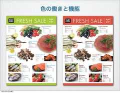 色の働きと機能13年10月4日金曜日 