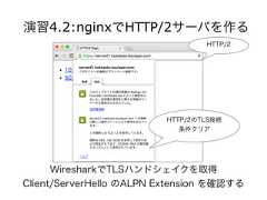 演習4.2:nginxでHTTP/2サーバを作るHTTP/2のTLS接続条件クリアHTTP/2WiresharkでTLSハンドシェイクを取得Client/ServerHello のALPN Extension を確認する 