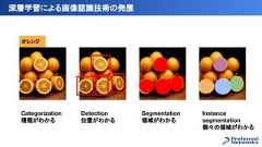 深層学習による画像認識技術の発展オレンジCategorization種類がわかるSegmentation領域がわかるDetection位置がわかるInstancesegmentation個々の領域がわかる 
