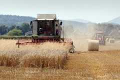Pšenica či zelenina ako miliónový biznis. Ktorí podnikatelia kraľujú slovenskej pôde? (rebríček)