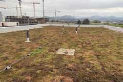 Žilinská župa ozelenila ďalšiu školu. Na martinskom gymnáziu pribudla živá strecha