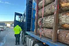 Na Orave pribúdajú kontroly kamiónov s drevom. Odhalili viacero nedostatkov