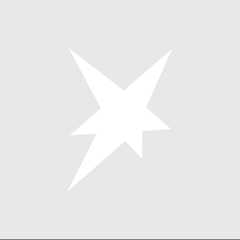 stern Logo