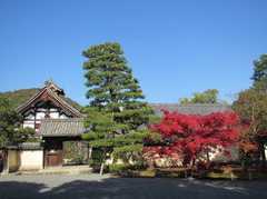 等持院の紅葉