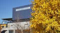 熊谷スポーツ文化公園の紅葉