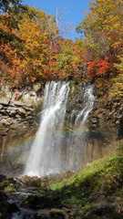 国営滝野すずらん丘陵公園の紅葉