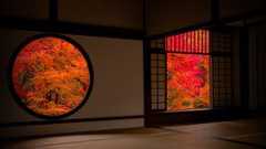 鷹峯(源光庵)の紅葉