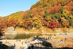 2025年秩父の紅葉スポットランキング!見頃時期や見どころをご紹介!