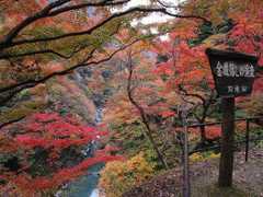 大血川渓谷(金蔵落し)の紅葉