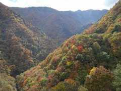 滝川渓谷(埼玉県)の紅葉