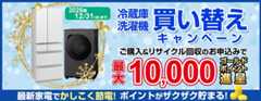 最新家電でかしこく節電！冷蔵庫・洗濯機 節電家電買い替えキャンペーン