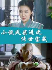 小旋风柴进之传世宝藏