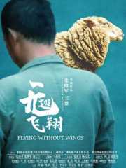 无翅飞翔