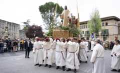 Fotos de la procesión del Domingo de Ramos hasta la Catedral/