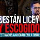 ¿Están Licey y Escogido destinados a chocar en la final?