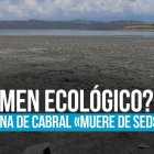La Laguna de Cabral o Rincón ha pasado de ser uno de los humedales más grandes y ricos en biodiversidad de la República Dominicana a convertirse en un paisaje casi desierto. El área protegida, ubicada en el valle de Neiba, entre las provincias Independencia y Barahona, agoniza por la falta de agua, según denuncias de comunitarios, provocada por el Consorcio Azucarero Central (CAC).«El consorcio no quiere dar agua para llenar la laguna; la tiene trancada. Eso es lo que tiene más la laguna seca: el consorcio”, aseguró Antonio Méndez.“Ellos las tienen (el agua) regando caña. Nosotros necesitamos que baje agua para la laguna. Esa sequía no es fácil, es una sequía muy grande», agregó Jorge Alberto Alcántara Alcanta.