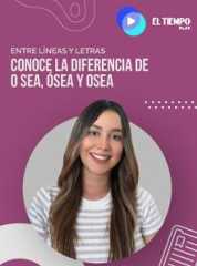 Conoce la diferencia de o sea, ósea y osea