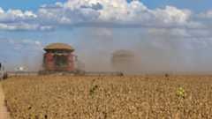 economia, pib do agro, agronegócio, bahia, soja, colheita, participação, agro economia, pib do agro, agronegócio, bahia, soja, colheita, participação, agro