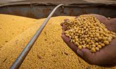 Divulgação CNA Divulgação CNA