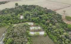 Reprodução Soja Brasil Reprodução Soja Brasil