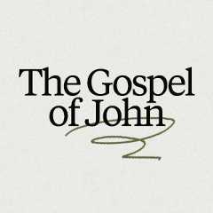 21 Days in the Gospel of John With Levi Lusko