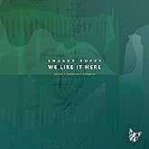 We Like It Here (Remixed Reimagined)