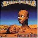 Parallel Minds