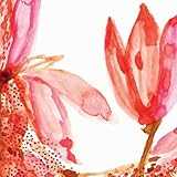 花図鑑 別冊 花図鑑 別冊