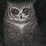 フクロウの声が聞こえる(完全生産限定盤) フクロウの声が聞こえる(完全生産限定盤)