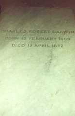 Larger memorial image loading...