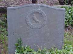 Larger memorial image loading...