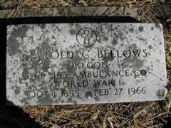 Larger memorial image loading...