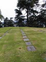 Larger memorial image loading...