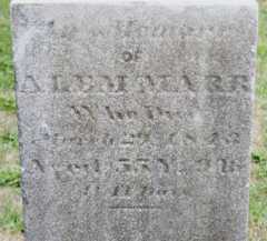 Larger memorial image loading...