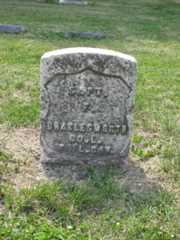 Larger memorial image loading...