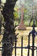 Larger memorial image loading...