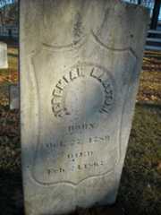 Larger memorial image loading...