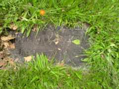 Larger memorial image loading...