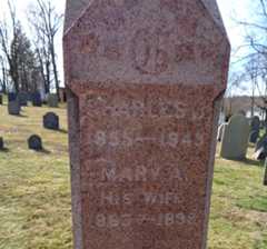 Larger memorial image loading...