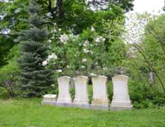 Larger memorial image loading...