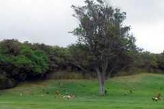 Larger memorial image loading...